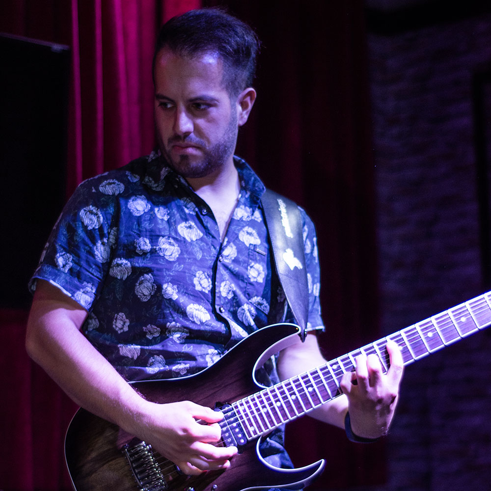 Guitarist performing